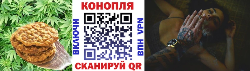 Cannafood конопля  Котово 