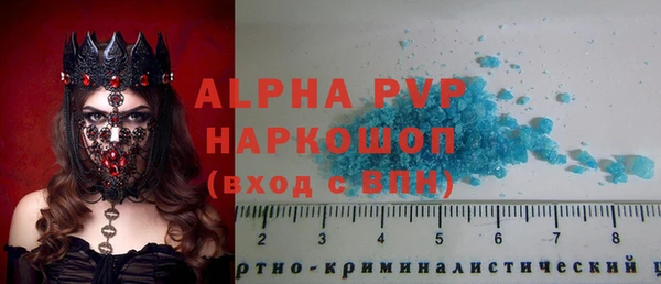 стафф Новокубанск