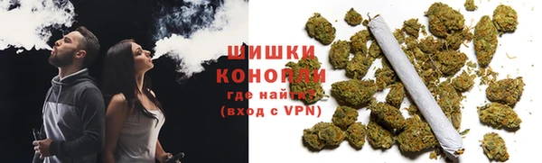 ПСИЛОЦИБИНОВЫЕ ГРИБЫ Новодвинск