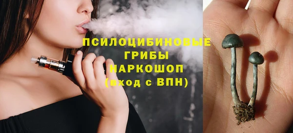 стафф Новокубанск