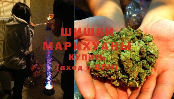 стафф Новокубанск
