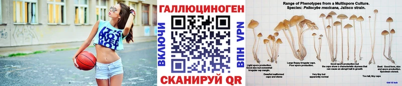 сколько стоит  Котово  Псилоцибиновые грибы прущие грибы 